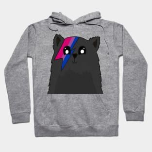 Bisexual Pride Flag Hoodie